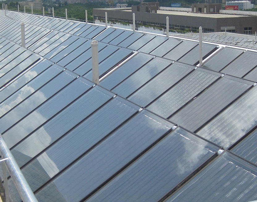 5e018669ceb57.jpg wd.jpg